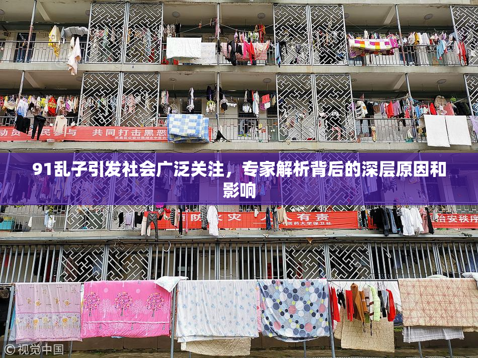 91乱子引发社会广泛关注，专家解析背后的深层原因和影响