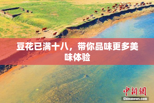 豆花已满十八，带你品味更多美味体验
