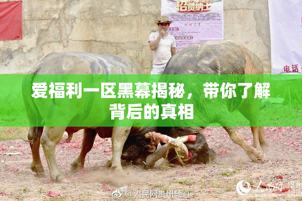 爱福利一区黑幕揭秘，带你了解背后的真相