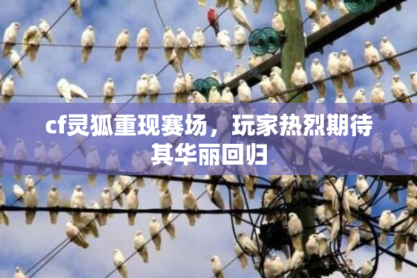 cf灵狐重现赛场，玩家热烈期待其华丽回归