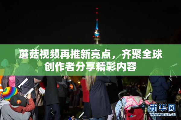 蘑菇视频再推新亮点，齐聚全球创作者分享精彩内容