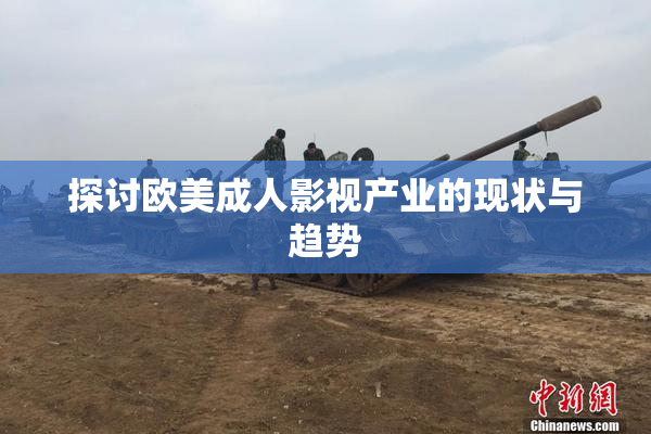 探讨欧美成人影视产业的现状与趋势