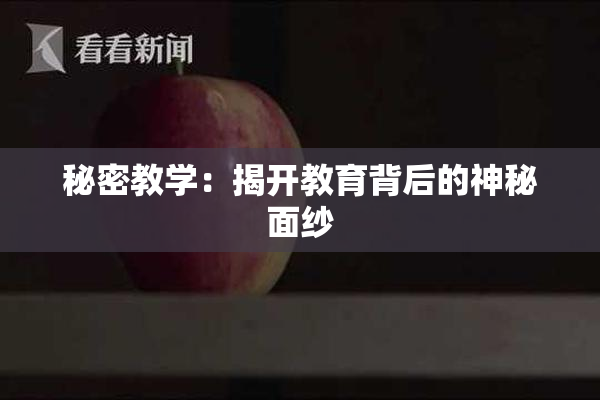 秘密教学：揭开教育背后的神秘面纱