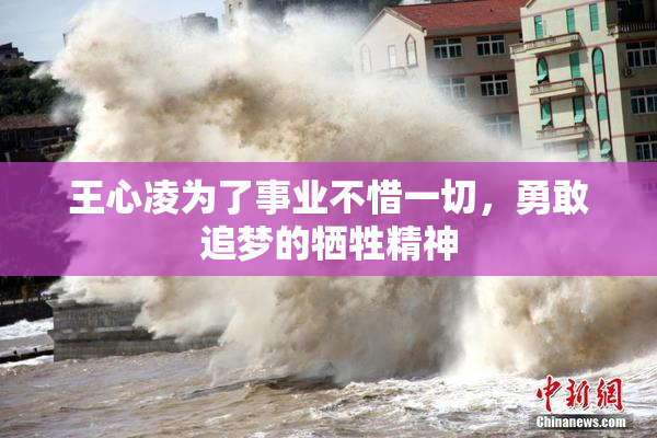 王心凌为了事业不惜一切，勇敢追梦的牺牲精神
