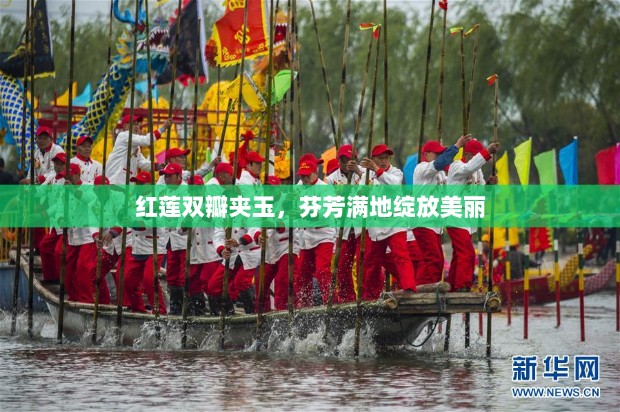 红莲双瓣夹玉，芬芳满地绽放美丽