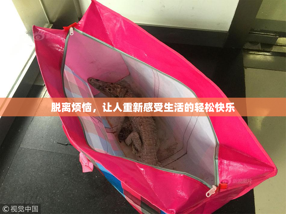 脱离烦恼，让人重新感受生活的轻松快乐