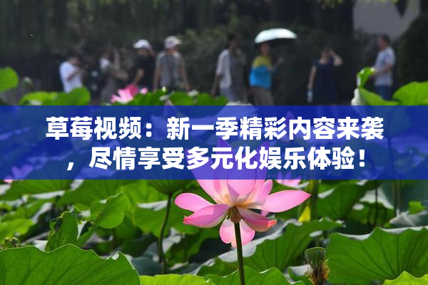草莓视频：新一季精彩内容来袭，尽情享受多元化娱乐体验！