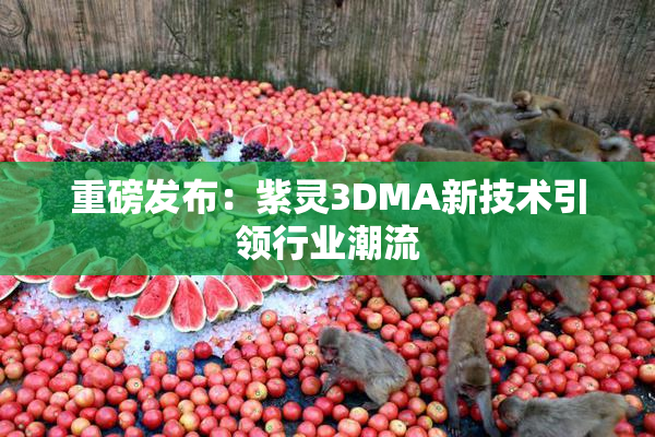 重磅发布：紫灵3DMA新技术引领行业潮流