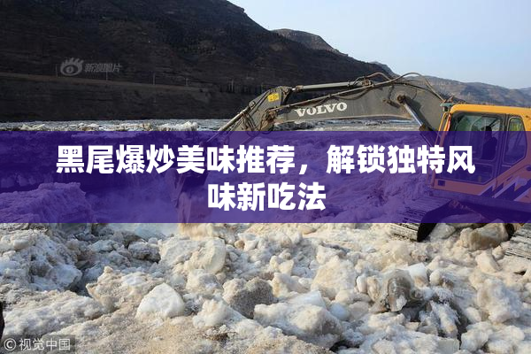 黑尾爆炒美味推荐，解锁独特风味新吃法
