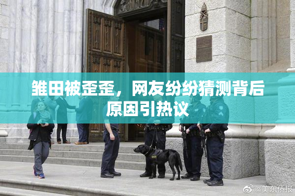 雏田被歪歪，网友纷纷猜测背后原因引热议