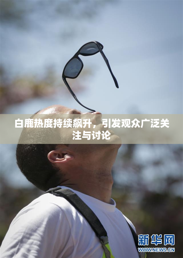 白鹿热度持续飙升，引发观众广泛关注与讨论