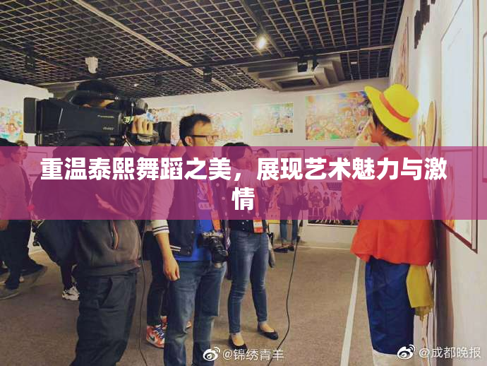 重温泰熙舞蹈之美，展现艺术魅力与激情
