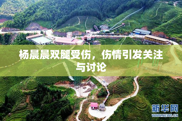杨晨晨双腿受伤，伤情引发关注与讨论