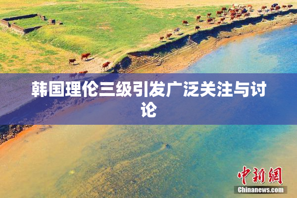 韩国理伦三级引发广泛关注与讨论