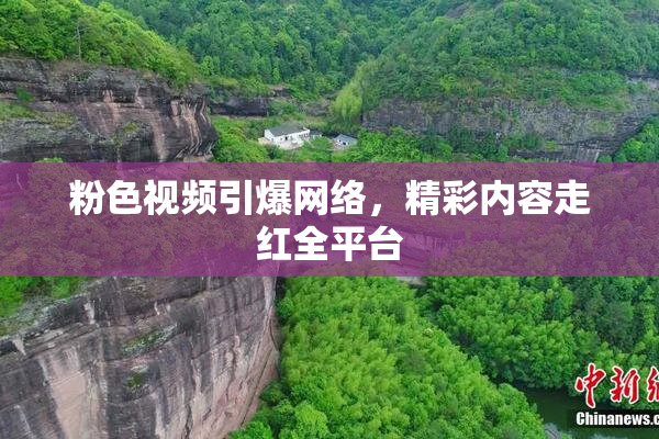 粉色视频引爆网络，精彩内容走红全平台