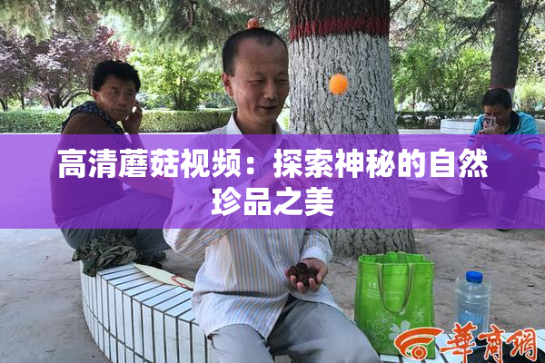 高清蘑菇视频：探索神秘的自然珍品之美