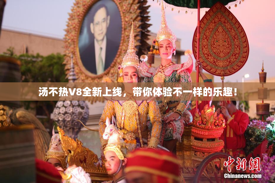 汤不热V8全新上线，带你体验不一样的乐趣！