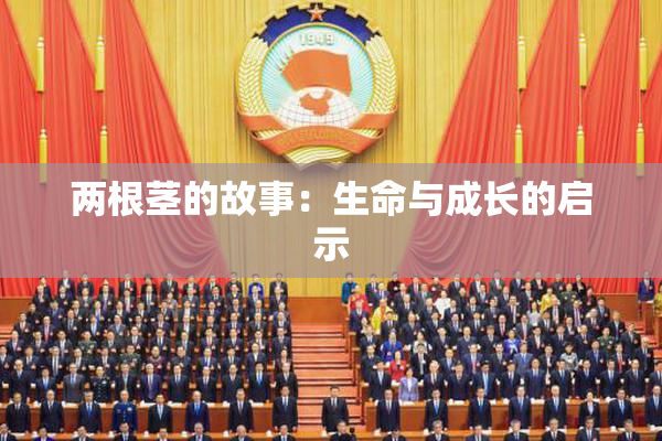 两根茎的故事：生命与成长的启示