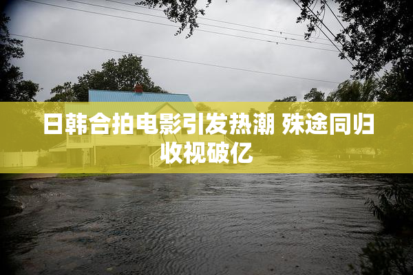 日韩合拍电影引发热潮 殊途同归收视破亿