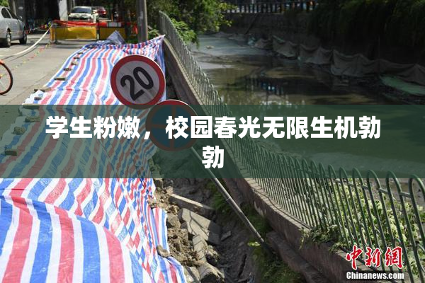 学生粉嫩，校园春光无限生机勃勃