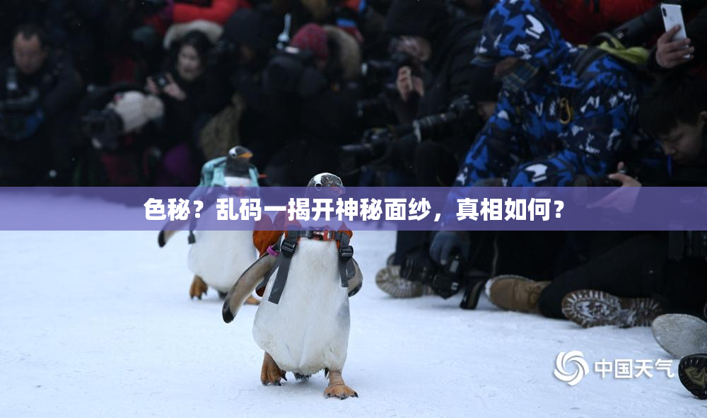 色秘？乱码一揭开神秘面纱，真相如何？