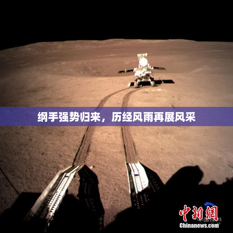 纲手强势归来，历经风雨再展风采