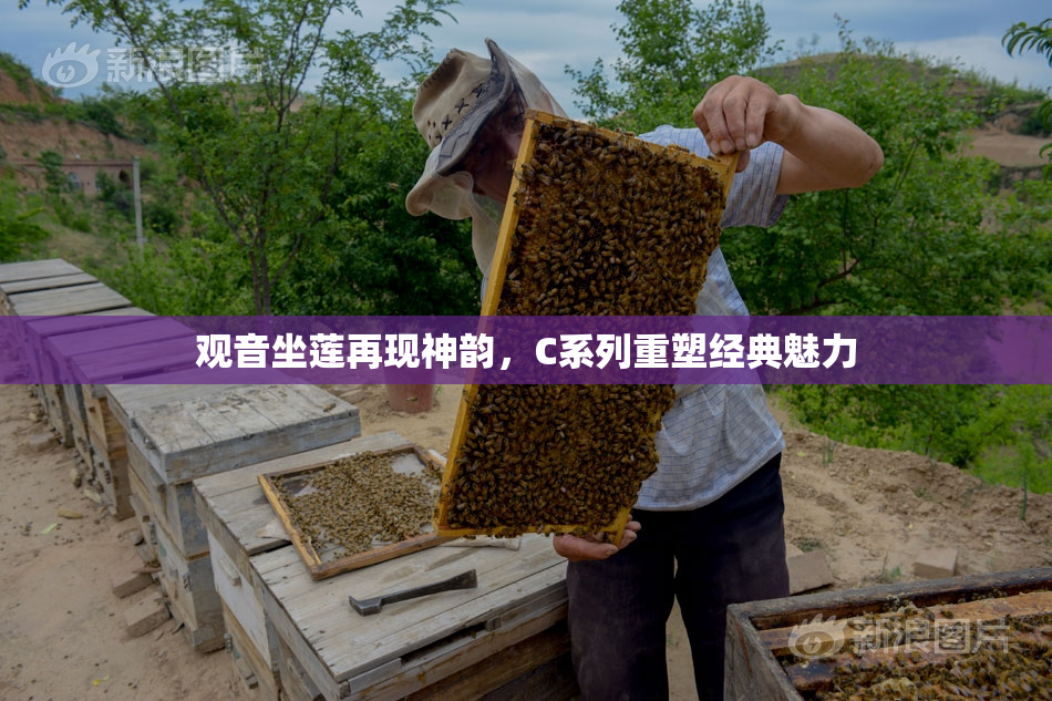 观音坐莲再现神韵，C系列重塑经典魅力
