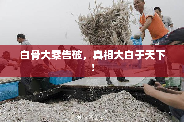 白骨大案告破，真相大白于天下！