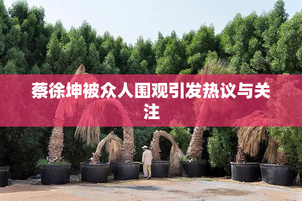 蔡徐坤被众人围观引发热议与关注