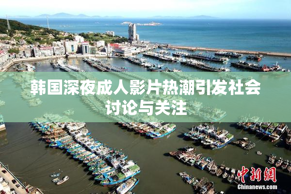 韩国深夜成人影片热潮引发社会讨论与关注