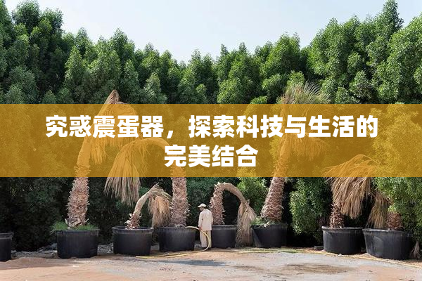 究惑震蛋器，探索科技与生活的完美结合