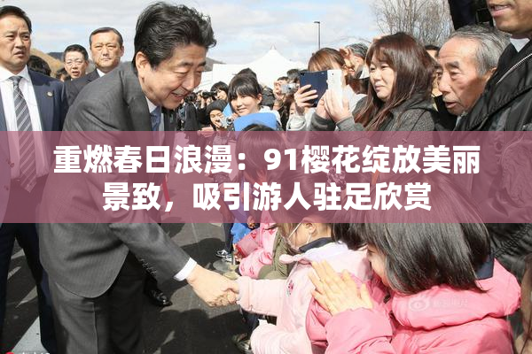 重燃春日浪漫：91樱花绽放美丽景致，吸引游人驻足欣赏