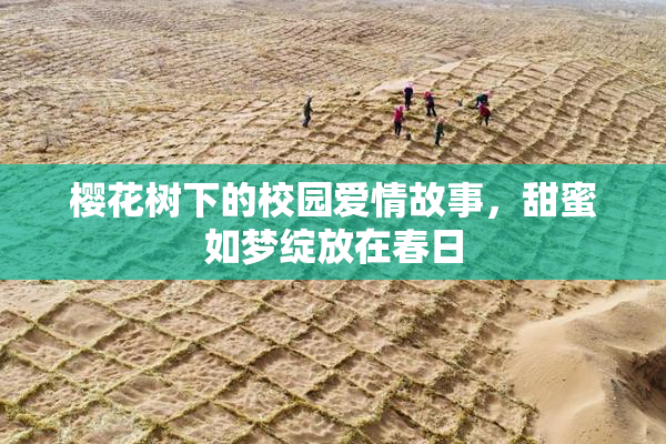 樱花树下的校园爱情故事，甜蜜如梦绽放在春日