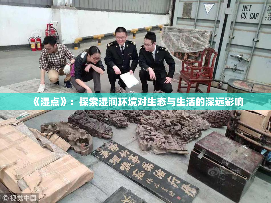 《湿点》：探索湿润环境对生态与生活的深远影响