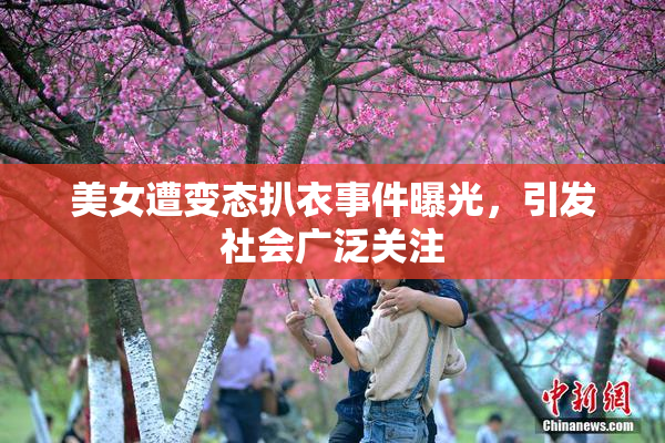 美女遭变态扒衣事件曝光，引发社会广泛关注