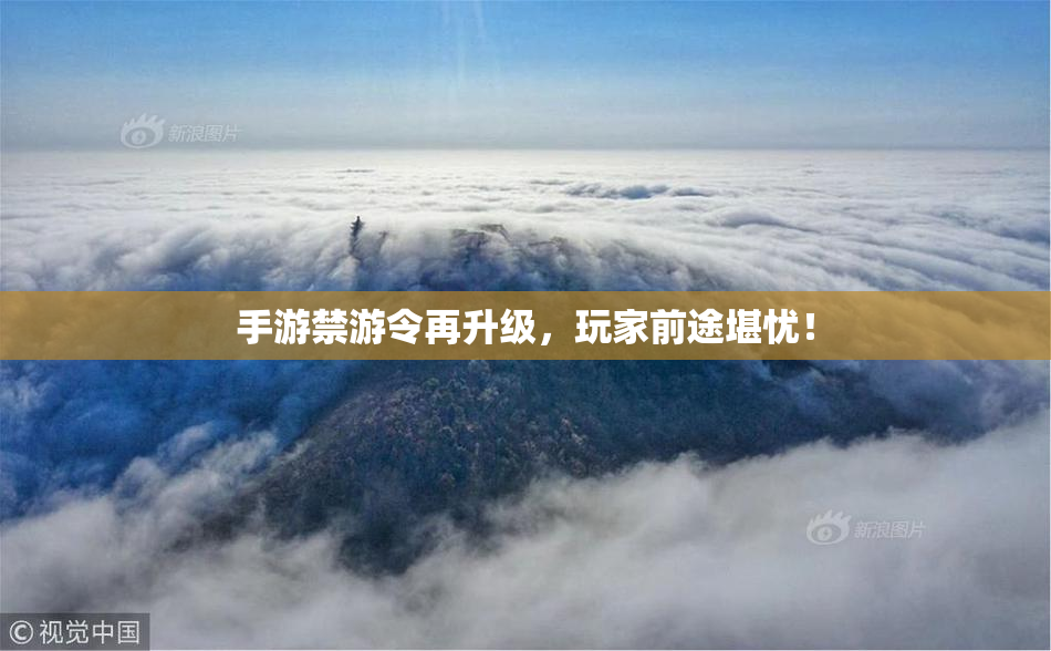 手游禁游令再升级，玩家前途堪忧！