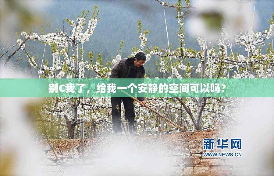 别C我了，给我一个安静的空间可以吗？