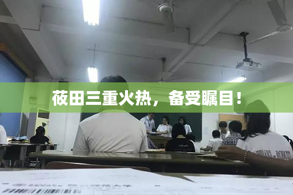 莜田三重火热，备受瞩目！
