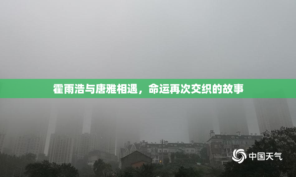 霍雨浩与唐雅相遇，命运再次交织的故事