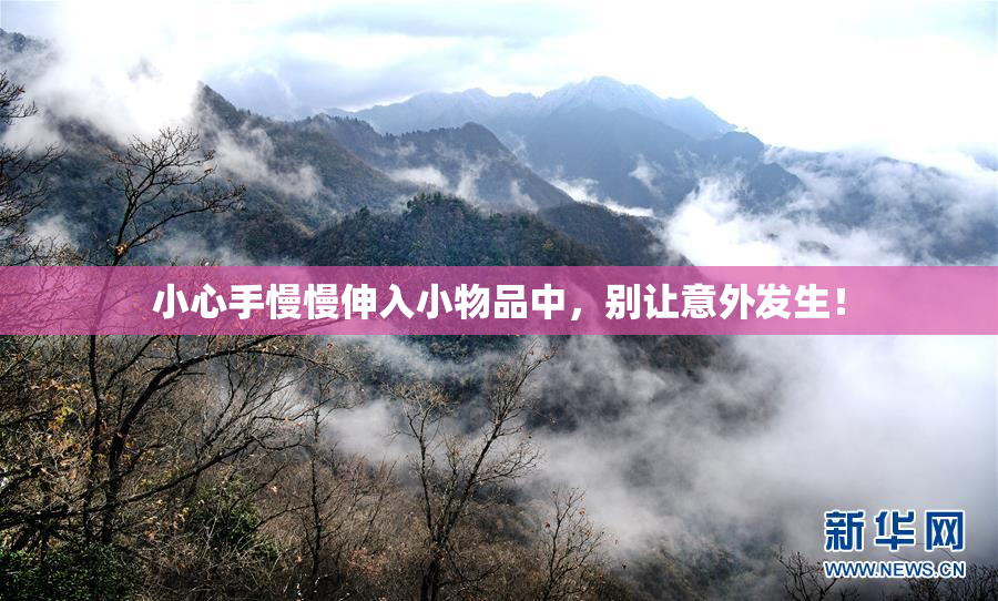 小心手慢慢伸入小物品中，别让意外发生！