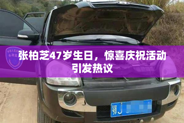 张柏芝47岁生日，惊喜庆祝活动引发热议