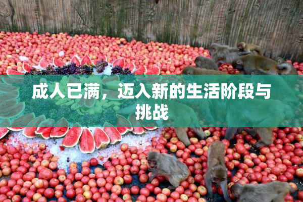 成人已满，迈入新的生活阶段与挑战