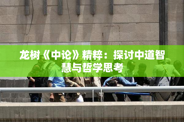 龙树《中论》精粹：探讨中道智慧与哲学思考