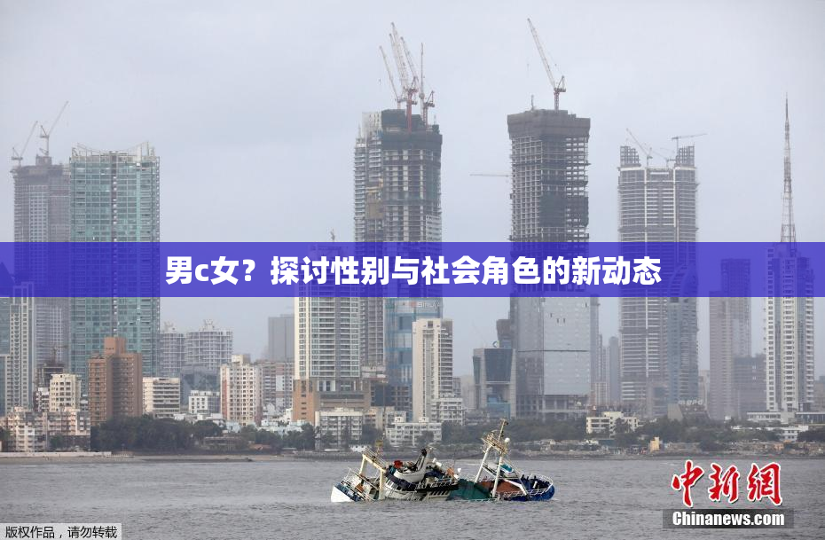 男c女？探讨性别与社会角色的新动态