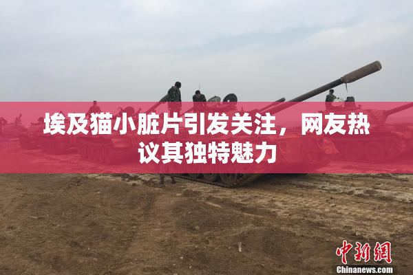 埃及猫小脏片引发关注，网友热议其独特魅力