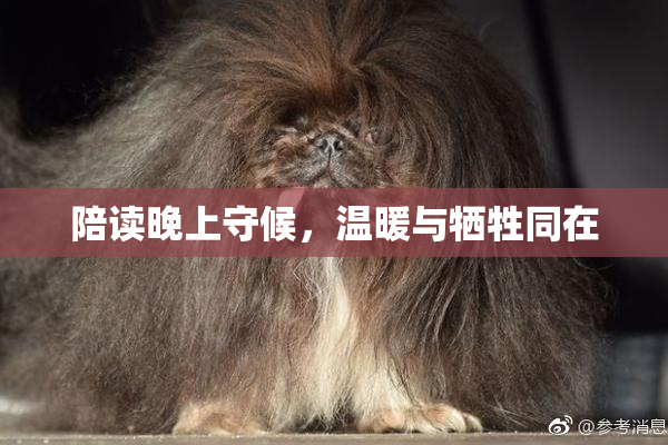 陪读晚上守候，温暖与牺牲同在