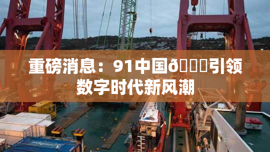 重磅消息：91中国🍆引领数字时代新风潮