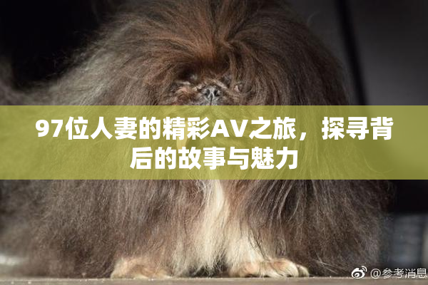 97位人妻的精彩AV之旅，探寻背后的故事与魅力