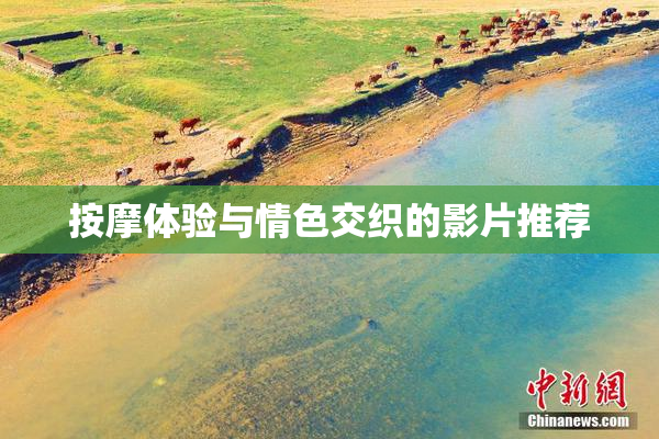 按摩体验与情色交织的影片推荐