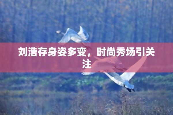 刘浩存身姿多变，时尚秀场引关注